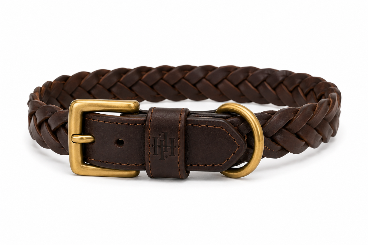 Braided Leather Dog Collar