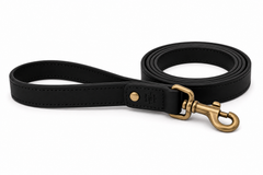 Classic Leather Leash